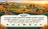 امنیت غذایی فقط محصول تولید نیست؛ حاصل اعتماد، روایت درست، مدیریت جهادی و هم‌افزایی همه فعالان کشاورزی از مرز تا مرکز 
